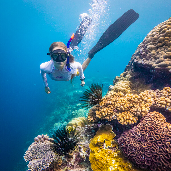 Christmas Island Free Diving and Snorkelling