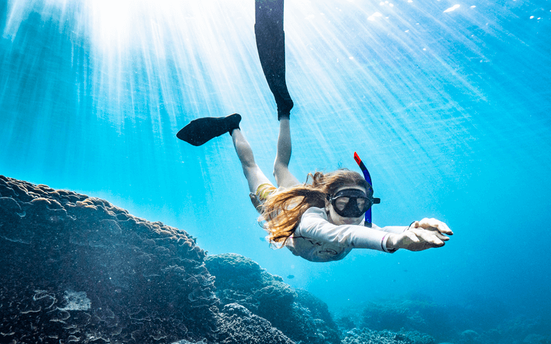 Snorkelling in Flyingfish cove