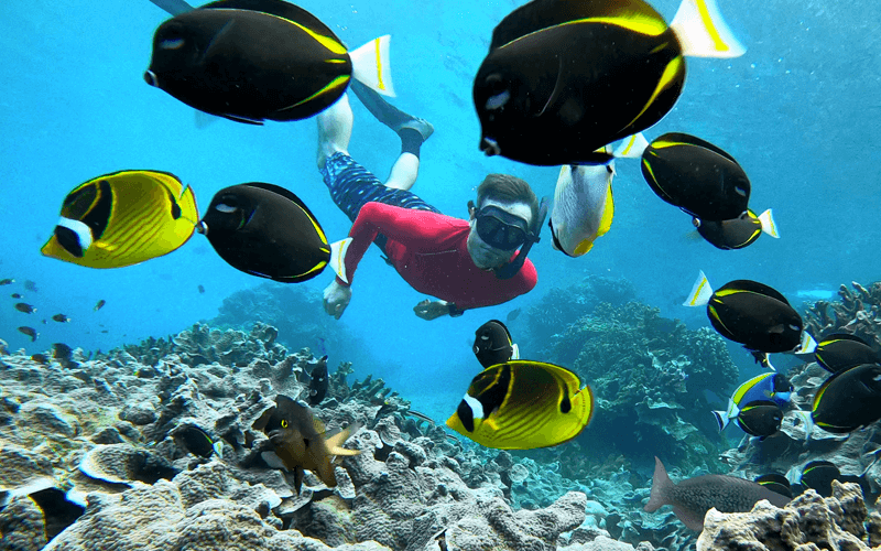 Snorkelling with fish on Christmas Island with Swell Lodge ecolodge tours