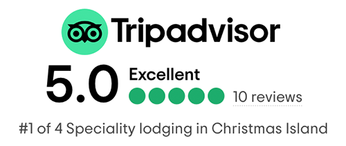 Swell Lodge on Tripadvisor