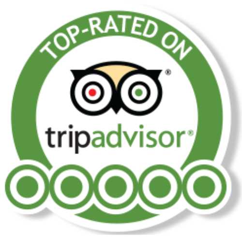 Trip advisor logo for Swell Lodge Luxury Eco-lodge